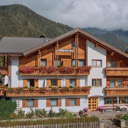Residence Alpenrose Разун-ди-Сотто Экстерьер фото